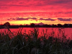 江津湖の夕焼け